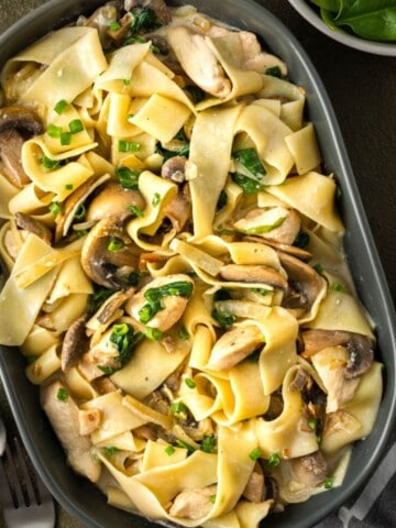 Chicken and mushrooms pappardelle on a black plate