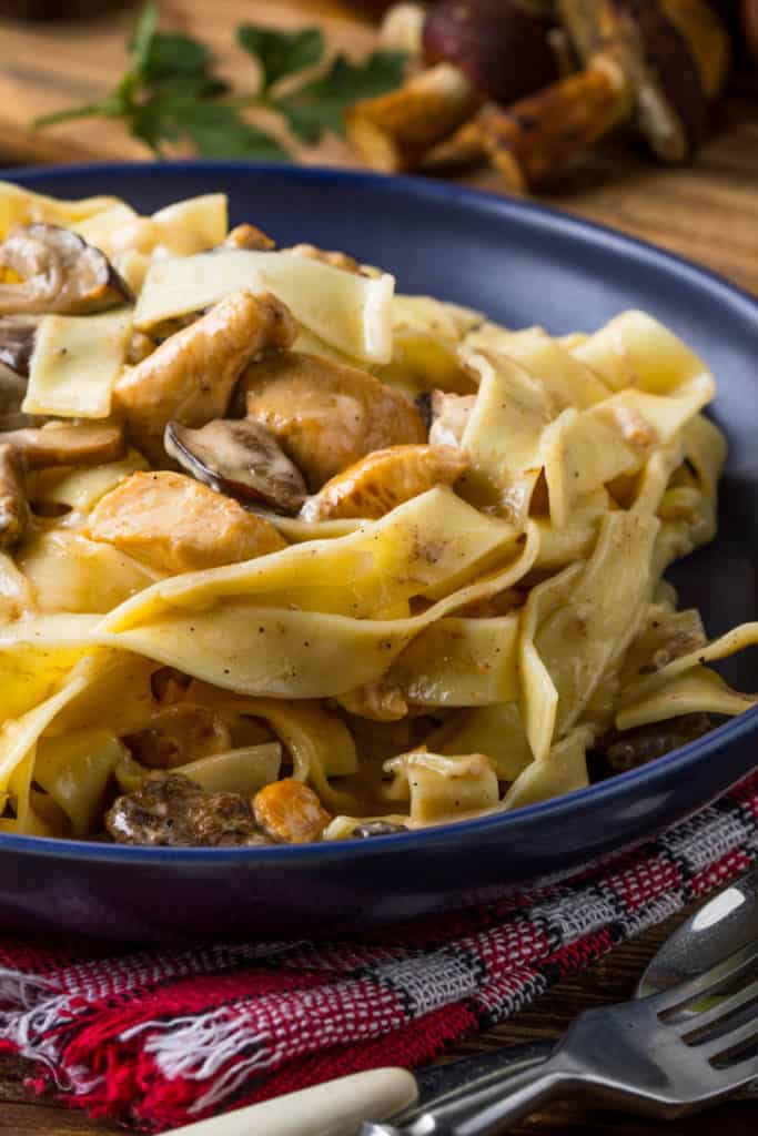Creamy-chicken-and-mushrooms-pappardelle on a black plate